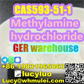 Methylamine HCl / Methylamine Hydrochloride CAS 593-51-1